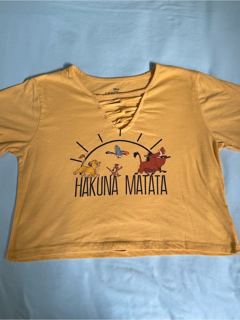 Disney the lion king loose crop top